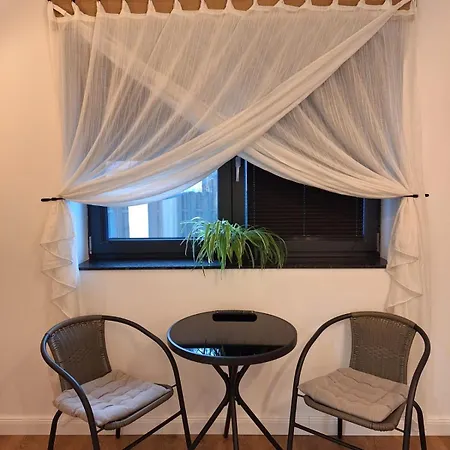 Casa De Caramida 게스트하우스 브라쇼브