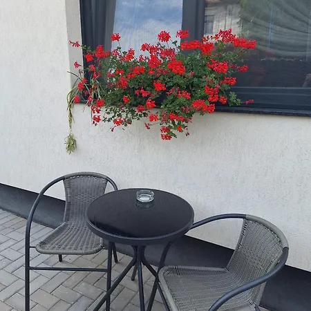 Pensjonat Casa De Caramida 3*